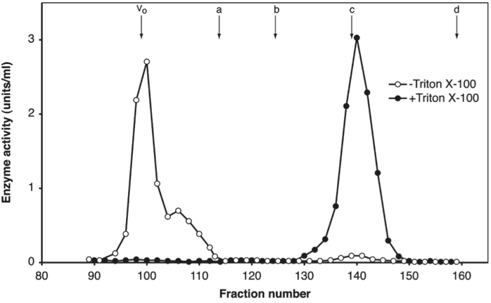 Gelfiltrering af 5’-nucleotidase med (fyldte cirkler) eller uden (hule cirkler) Triton X-100 til stede. Pilene angiver positionen af (a) thyroglobulin (670 KDa), (b) ferritin (440 KDa), (c) immunoglobulin G (160 KDa) og (d) serum albumin (68 KDa). Vo er søjlens void-volumen.