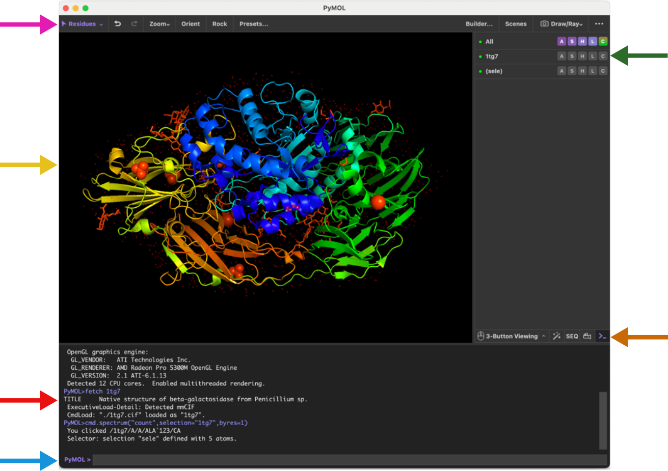 Figure 1: The PyMOL graphical user interface with PDB ID 1tg7 loaded.